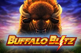 BK8 Buffalo Blitz