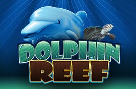 BK8 Dolphin Reef