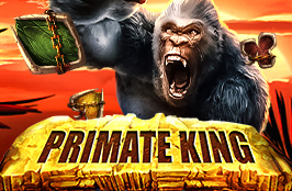 BK8 Primate King