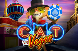 BK8 Cat in Vegas