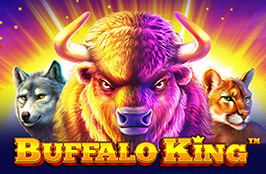 BK8 Buffalo King