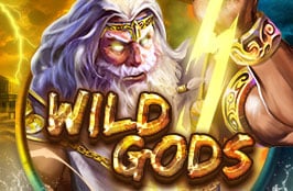 BK8 Wild Gods